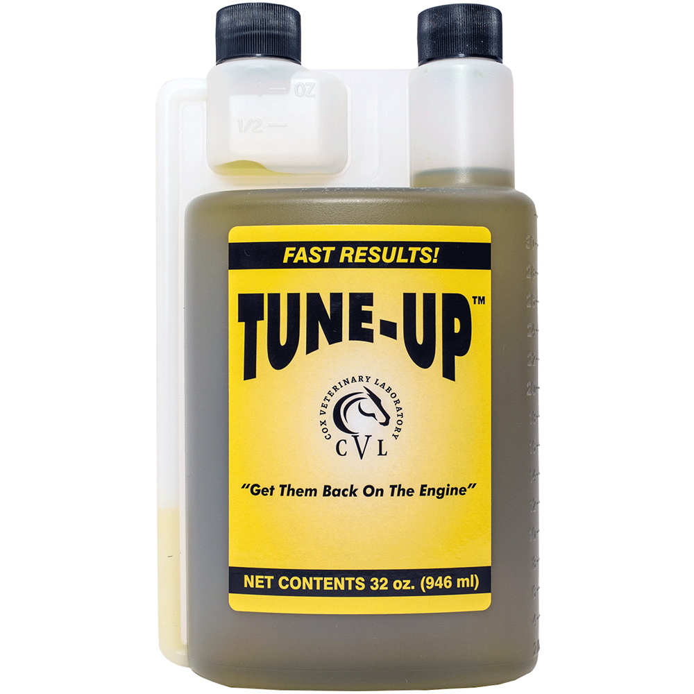 TUNE UP 946 ML ( SUPLEMENTO DE RECUPERACION MUSCULAR)