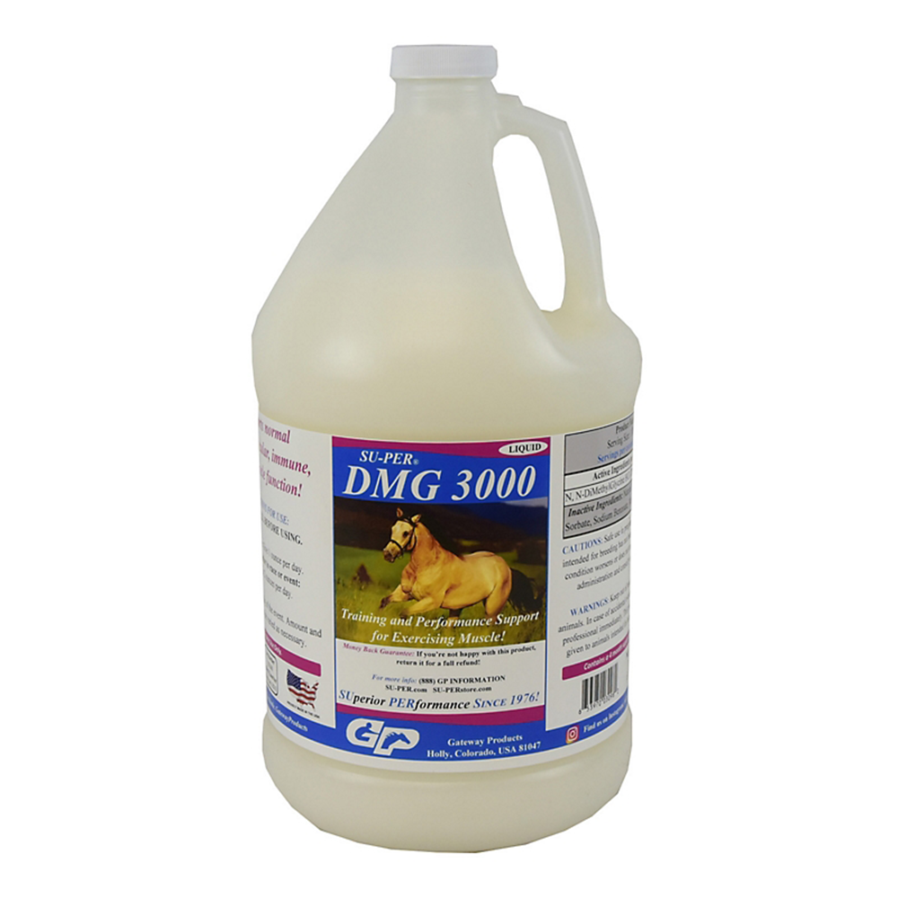 SUPER DMG 3000 GALON