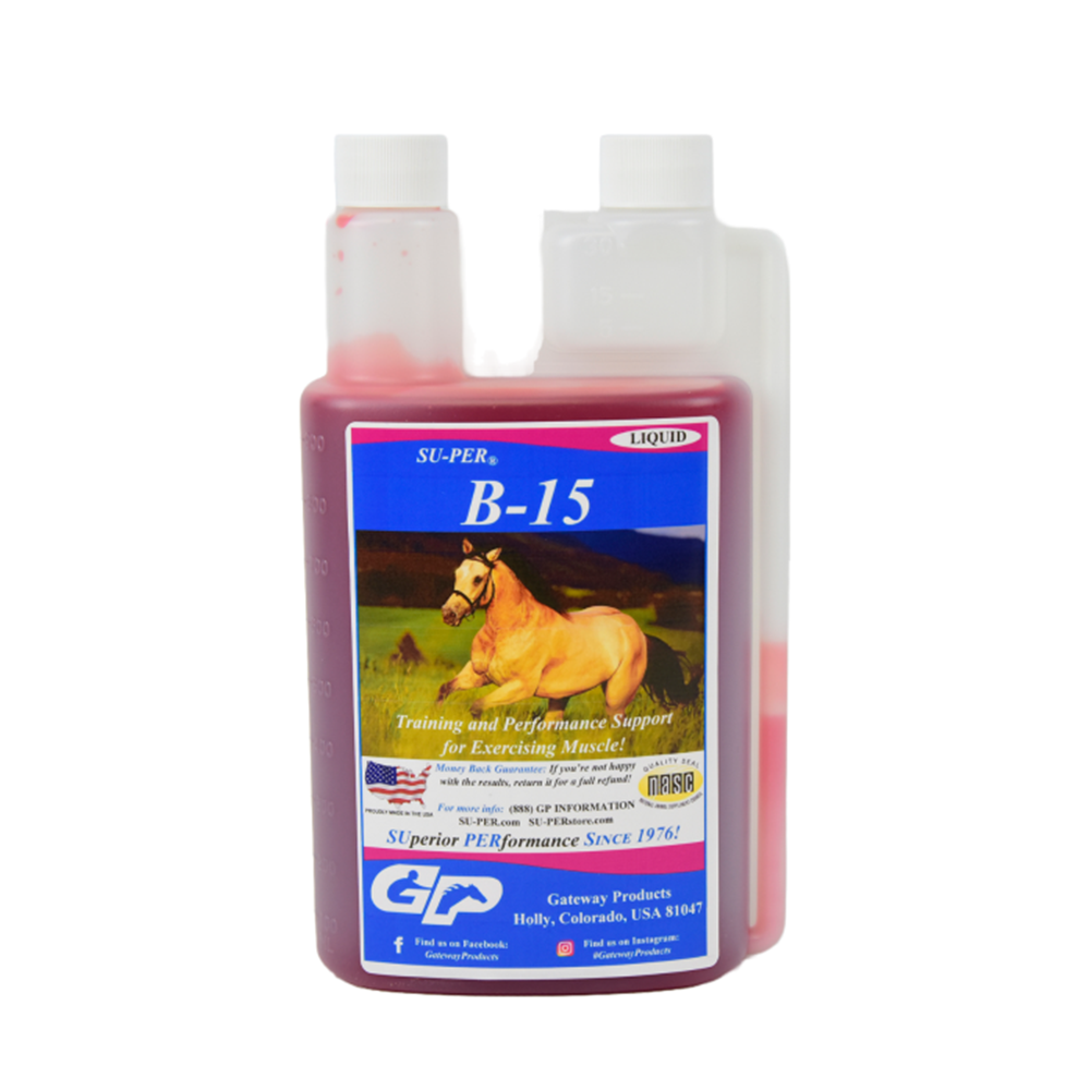 SUPER B-15 LIQUIDO QUART