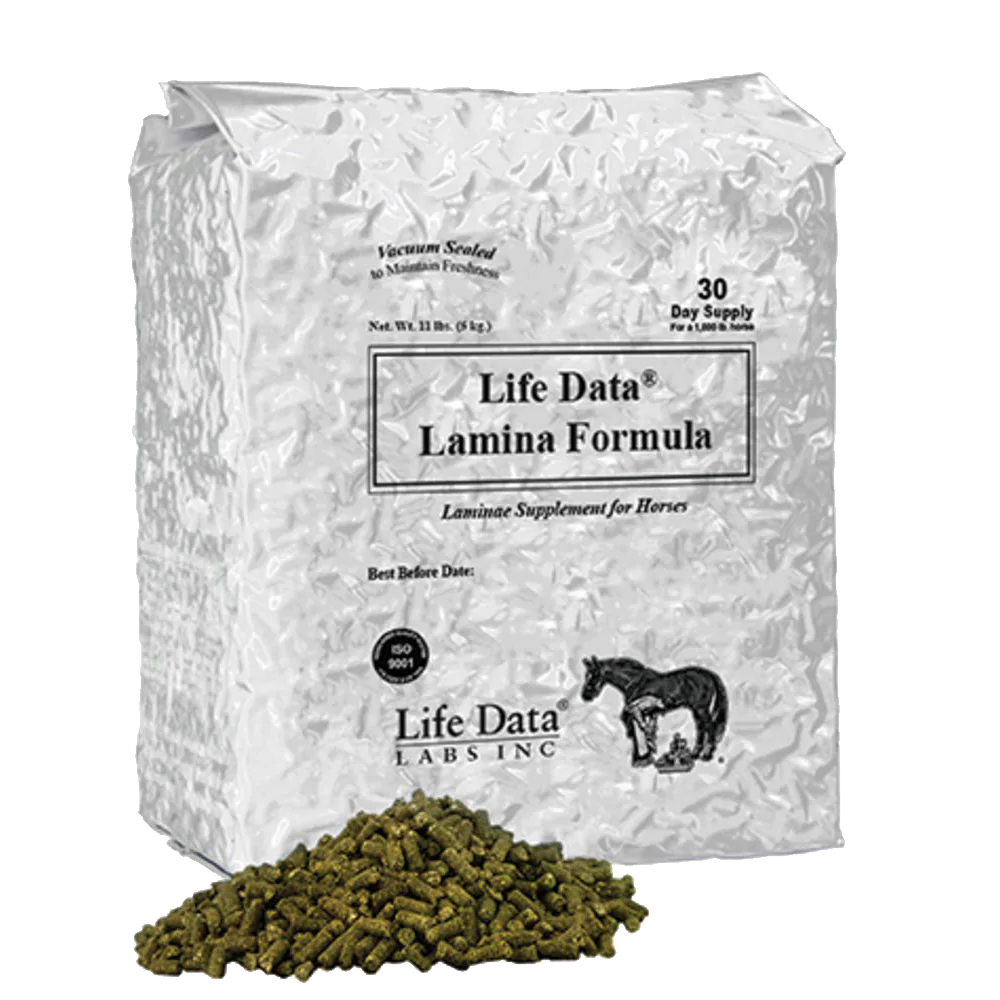 LIFE DATA LAMINA FORMULA 11 LBS (BOLSA)